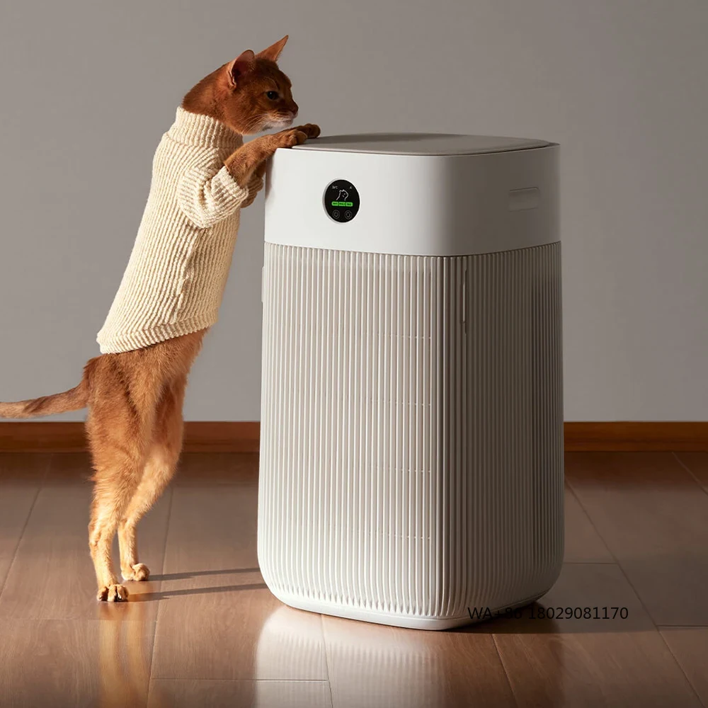 Hair Care - Les poils de chats absorbent rapidement